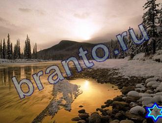 ответы на игру Найди животных Уровень 1818