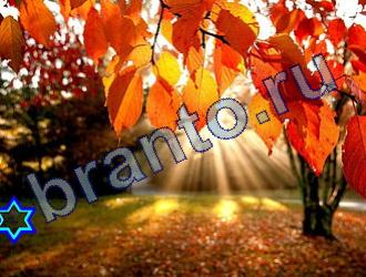 ответы на игру Найди животных Уровень 1819