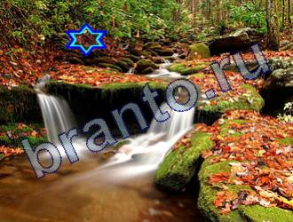 ответы на игру Найди животных Уровень 1820