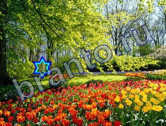 ответы на игру Найди животных Уровень 1822