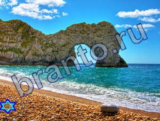 ответы на игру Найди животных Уровень 1823