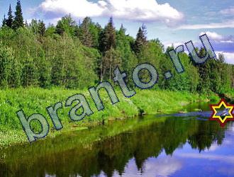 ответы на игру Найди животных Уровень 1825