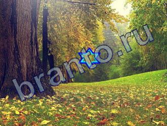 ответы на игру Найди животных Уровень 1826