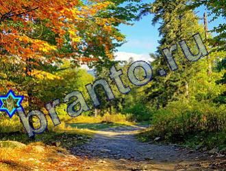 ответы на игру Найди животных Уровень 1827