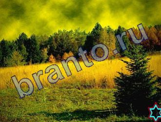 подсказки к игре Найди животных Уровень 1828