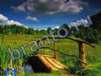 ответы на игру Найди животных Уровень 1829