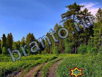 ответы на игру Найди животных Уровень 1830