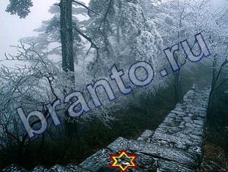 Найди животных ответы на игру Уровень 1831