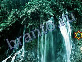 ответы на игру Найди животных Уровень 1832