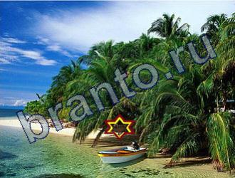 ответы на игру Найди животных Уровень 1834