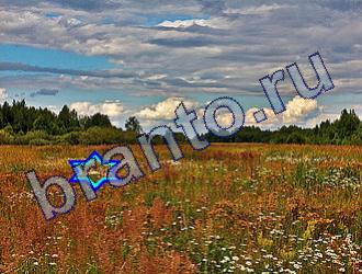 ответы на игру Найди животных Уровень 1836