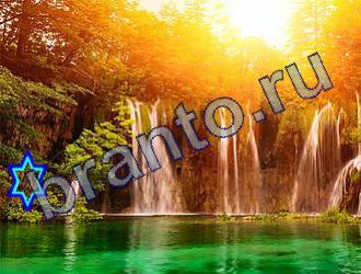 ответы на игру Найди животных Уровень 1838