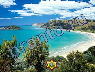 Найди животных Ответы Уровень 1839