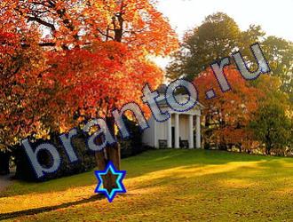 ответы на игру Найди животных Уровень 1840