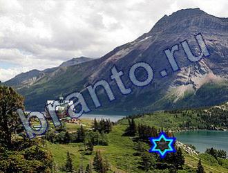 Найди животных подсказки Уровень 1841