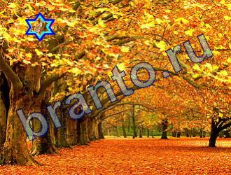 Игра Найди животных ответы Уровень 1843