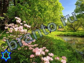 ответы на игру Найди животное Уровень 1845