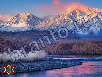 ответы на игру Найди животных Уровень 1846