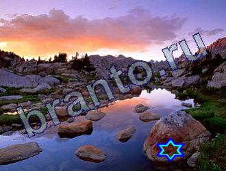 помощь на игру Найди животных Уровень 1849