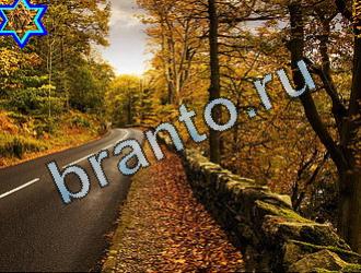 ответы на игру Найди животных Уровень 2002