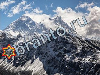 ответы на игру Найди животных Уровень 2004