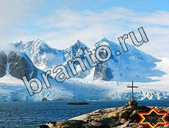 Найди животных решебник Уровень 2005