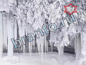 ответы на игру Найди животных Уровень 2006