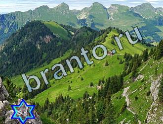 Найди животных подсказки в одноклассниках Уровень 2008