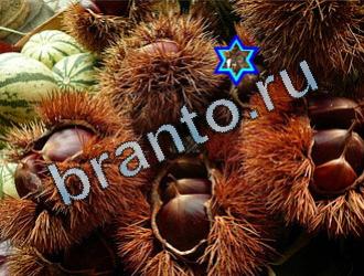 Игра Найди животных ответы Уровень 2010