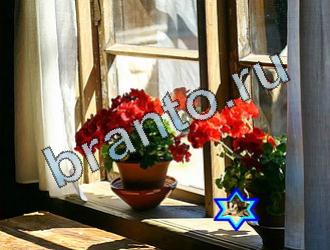 ответы на игру Найди животных Уровень 2014