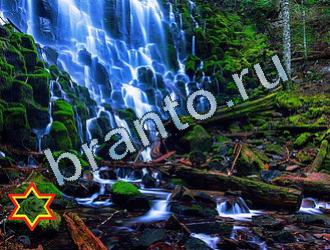 ответы на игру Найди животных Уровень 2015