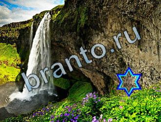 ответы на игру Найди животных Уровень 2016