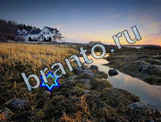 ответы на игру Найди животных Уровень 2017