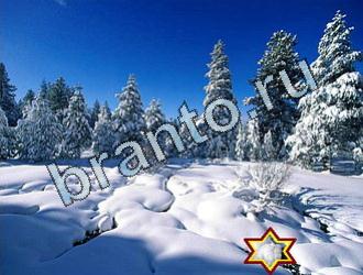 ответы на игру Найди животных Уровень 2018