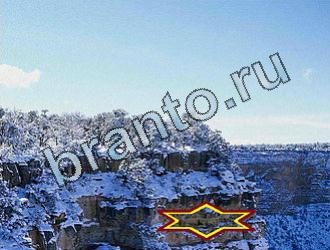 ответы на игру Найди животных Уровень 2020