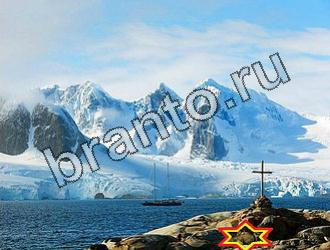 ответы на игру Найди животных Уровень 2021