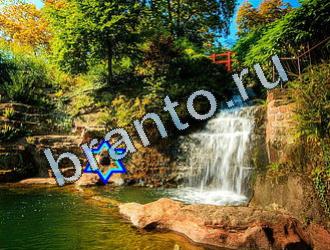 ответы на игру Найди животных Уровень 2024