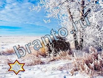 ответы на игру Найди животных Уровень 2025