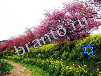 ответы на игру Найди животных Уровень 2027