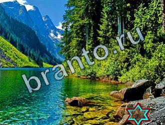 ответы на игру Найди животных Уровень 2029