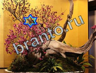 ответы на игру Найди животных Уровень 2030