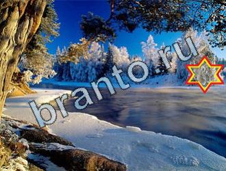 Найди животных ответы на игру Уровень 2031