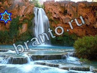 ответы на игру Найди животных Уровень 2032