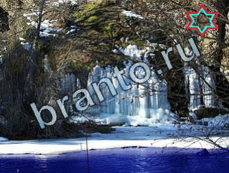 ответы к игре Найди животных Уровень 2033