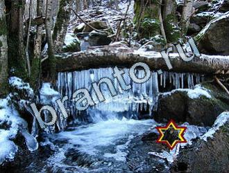 ответы на игру Найди животных Уровень 2034