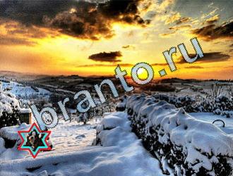 ответы на игру Найди животных Уровень 2035