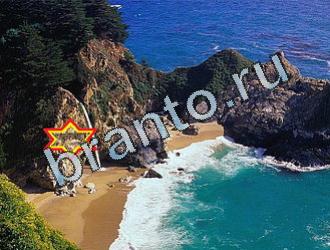 ответы на игру Найди животных Уровень 2036