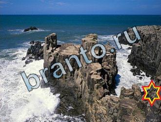 ответы на игру Найди животных Уровень 2038