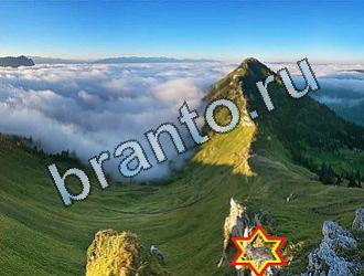 Найди животных Ответы Уровень 2039