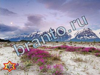 ответы на игру Найди животных Уровень 2042